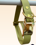 Collier Sauge