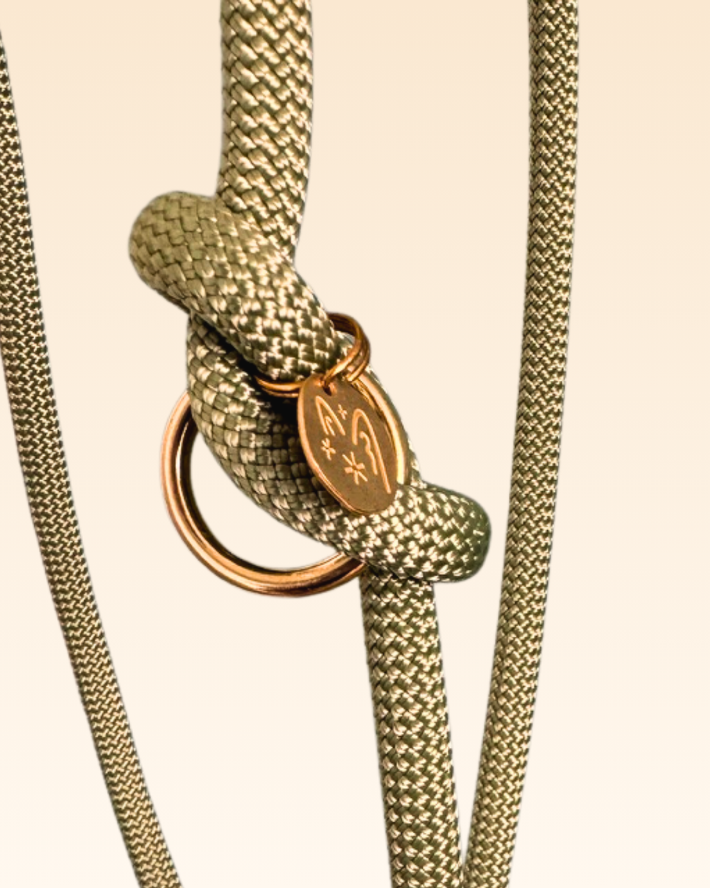 Laisse multi-positions Aloe