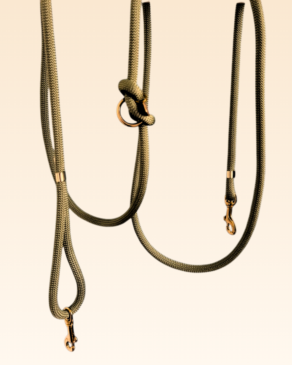 Laisse multi-positions Aloe