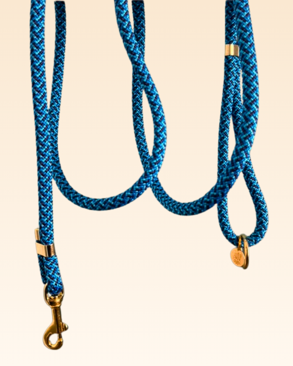 Laisse classique Bleuet