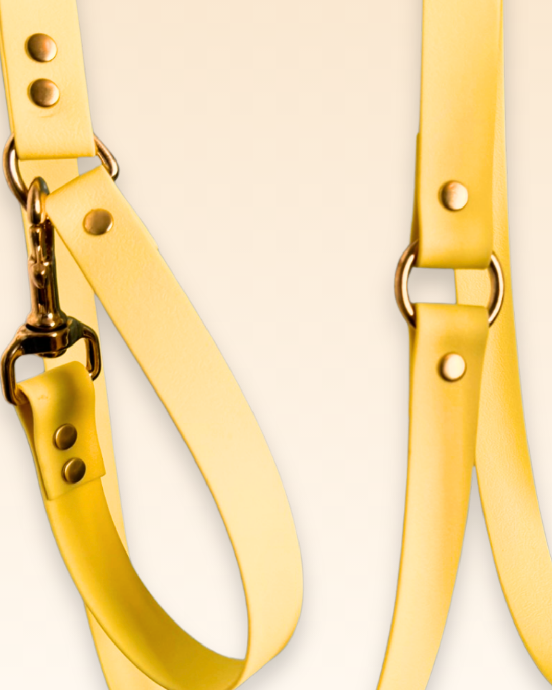 Laisse multi-positions Mimosa