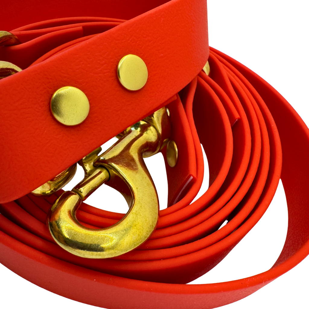 Laisse multi-positions Camélia