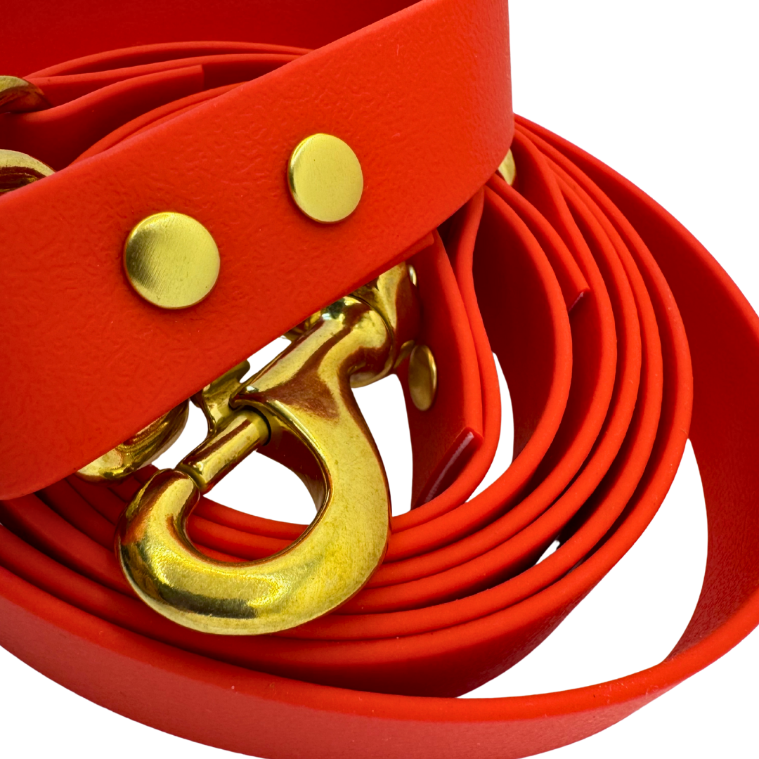 Laisse multi-positions Camélia