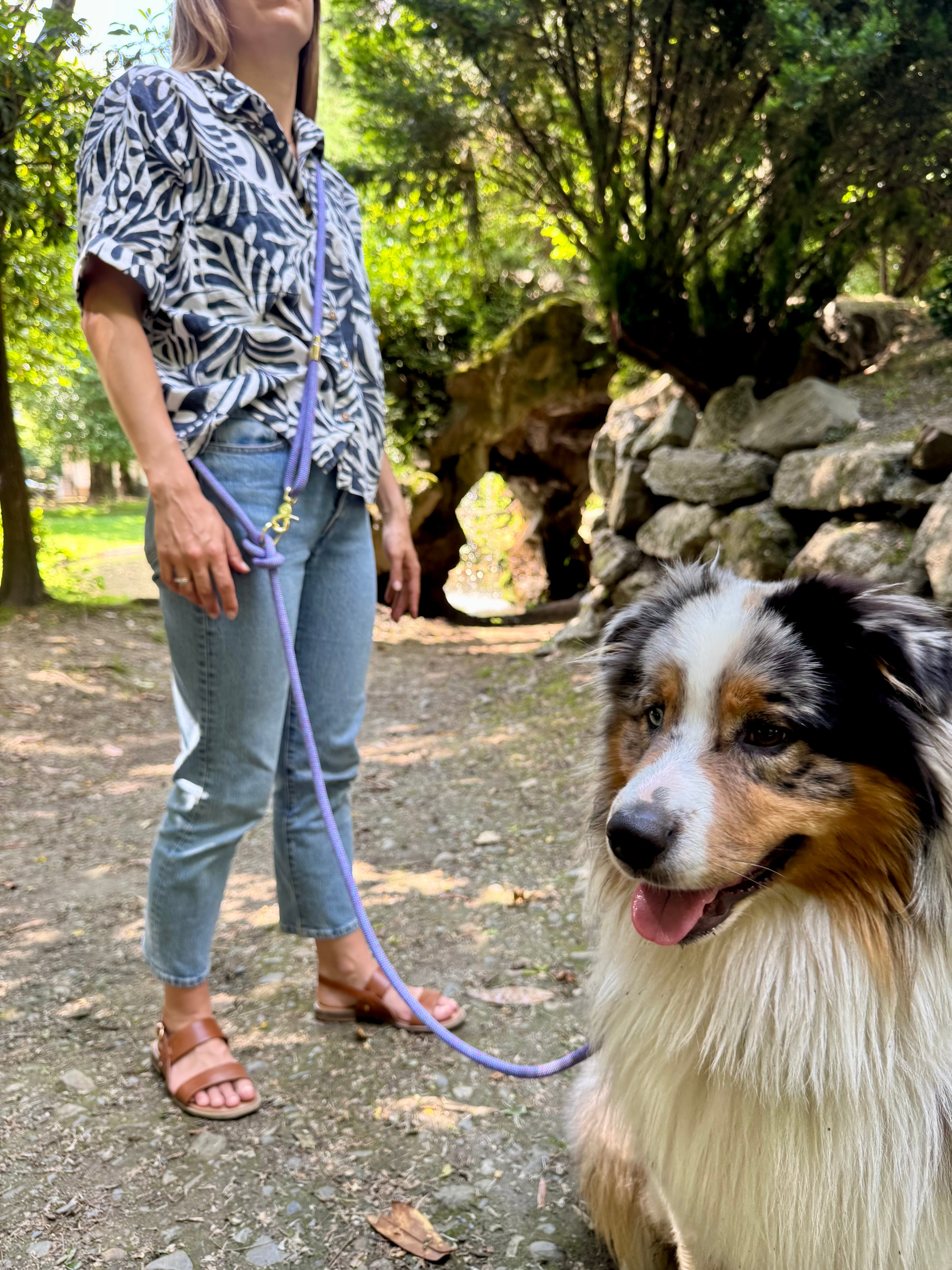 Laisse multi-positions Anémone