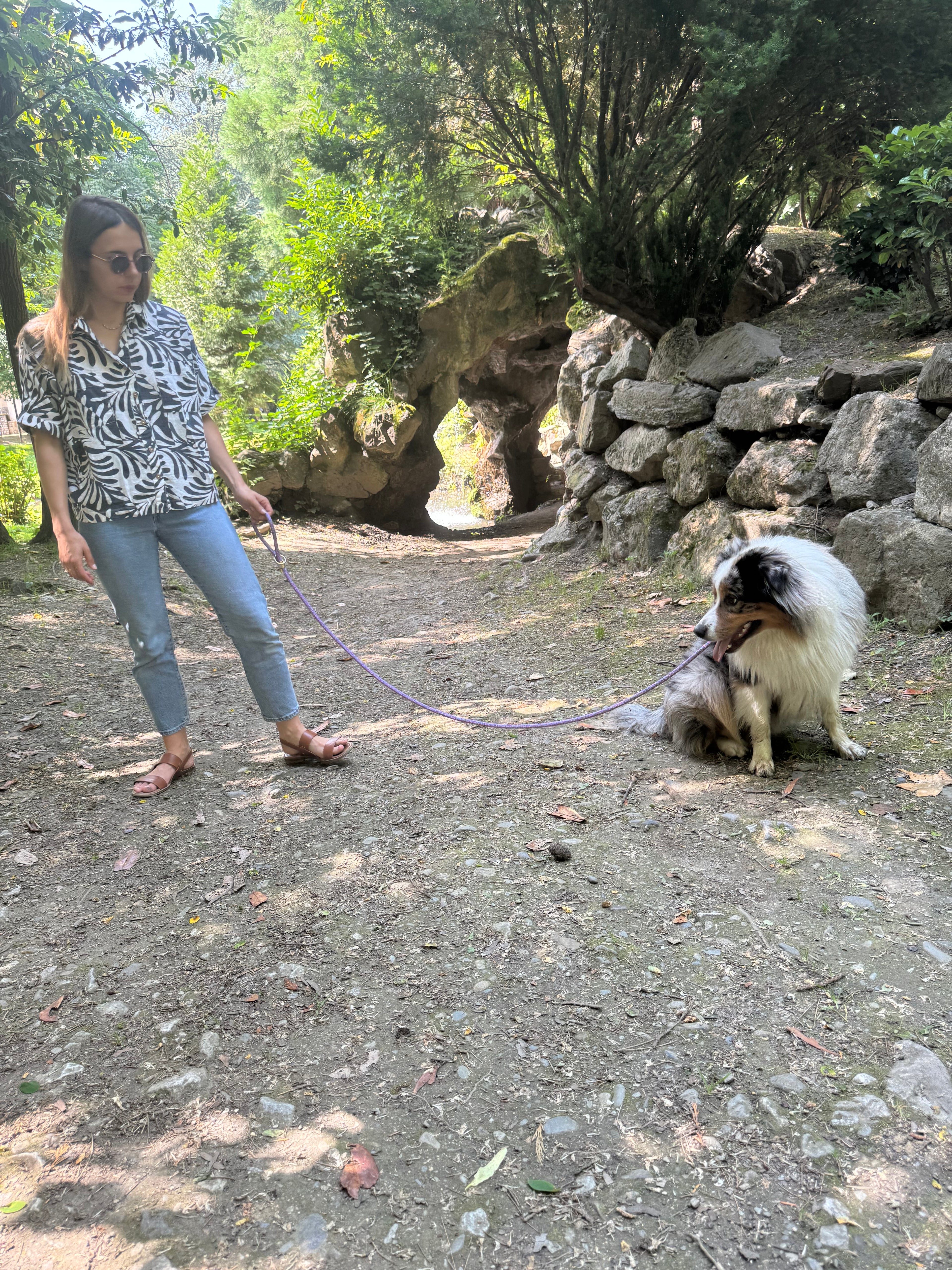 Laisse classique Anémone