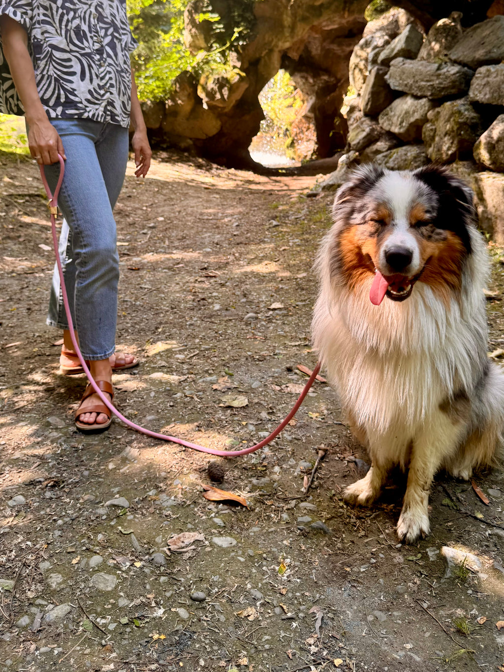 Laisse classique Pivoine