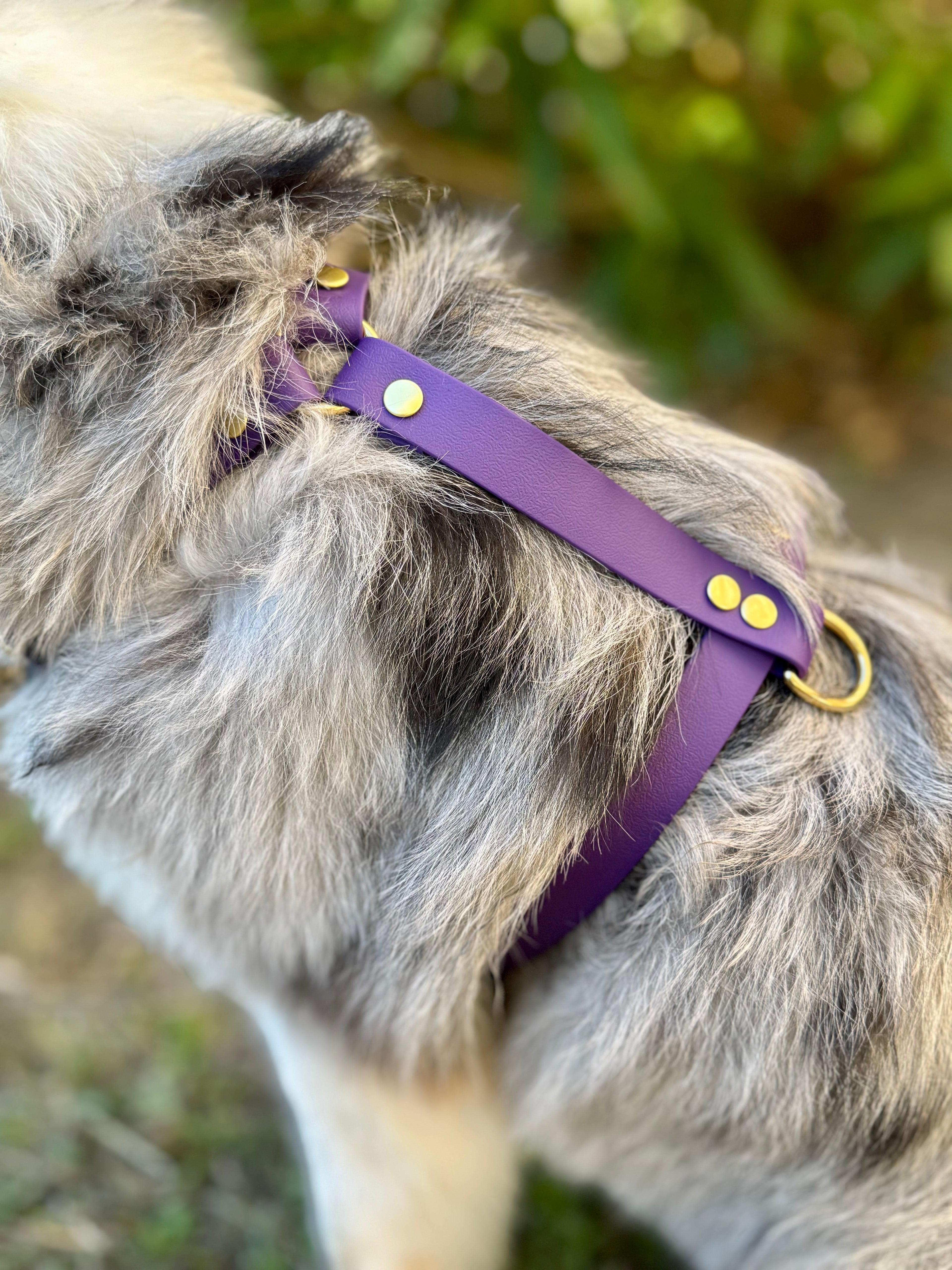 Harnais réfléchissant BORÉAL violet pour chien FREEDOG Harnais réfléchissant BORÉAL violet pour chien FREEDOG