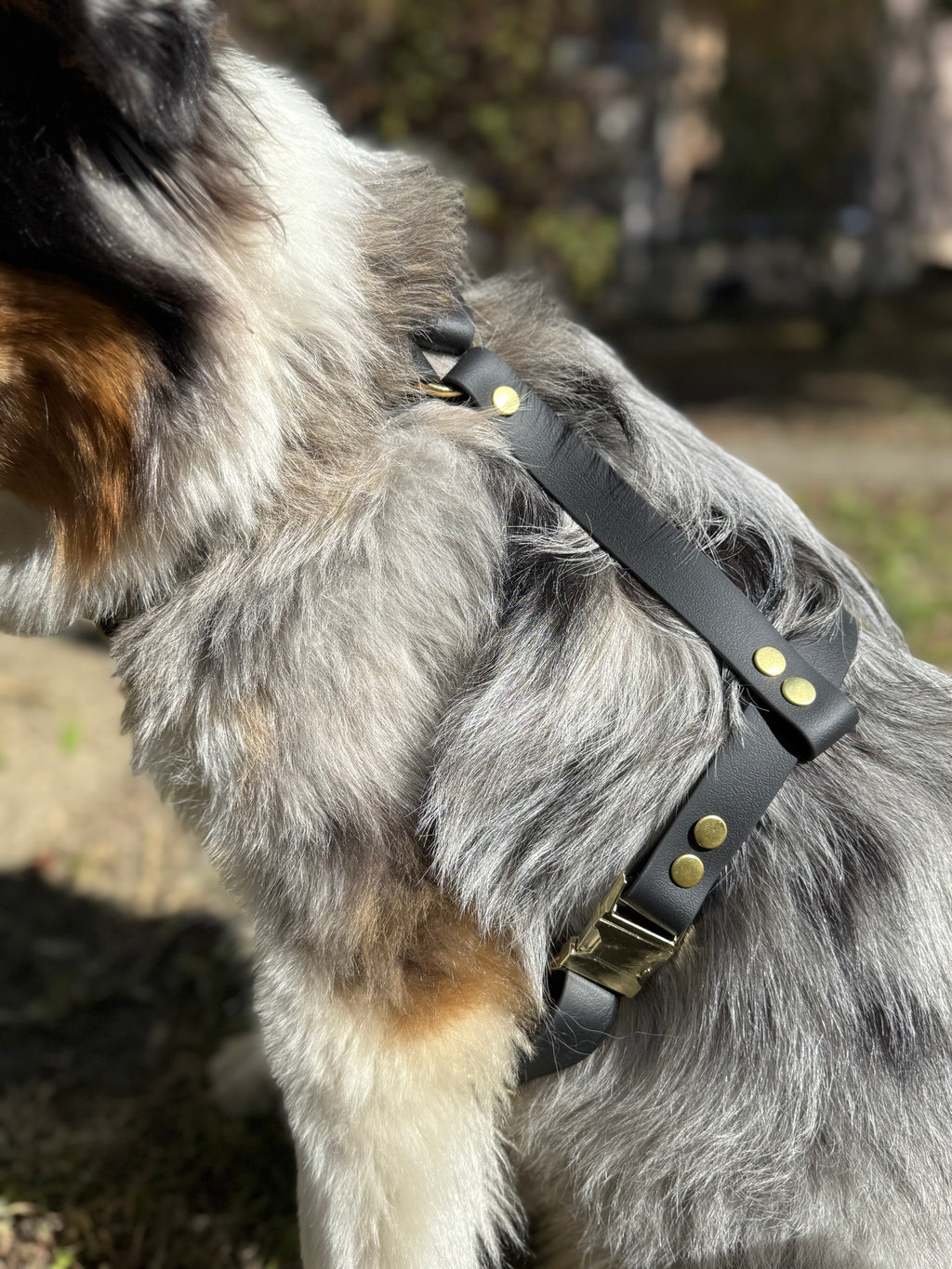 Harnais en Y Pensée