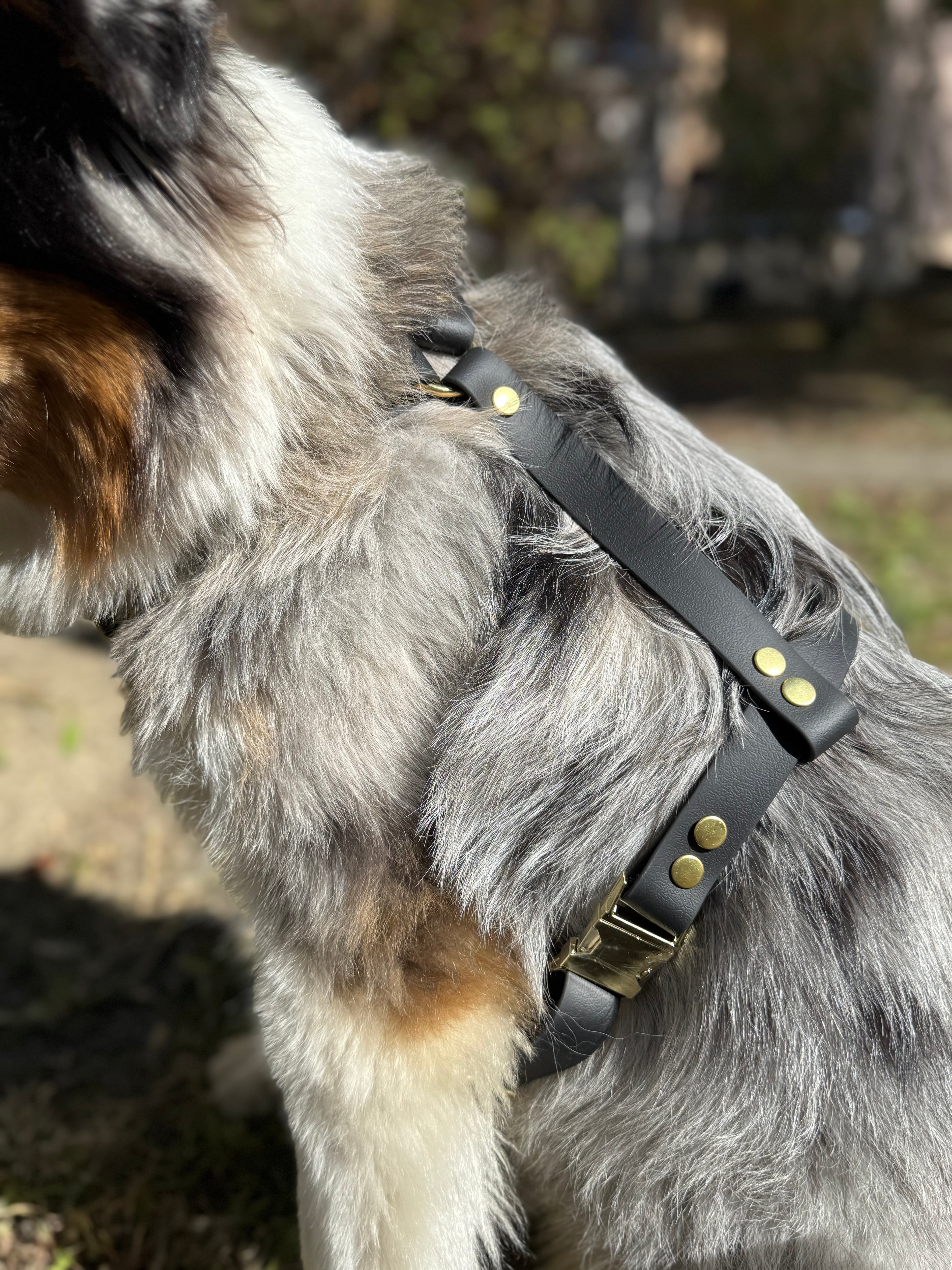 Harnais en Y Pensée