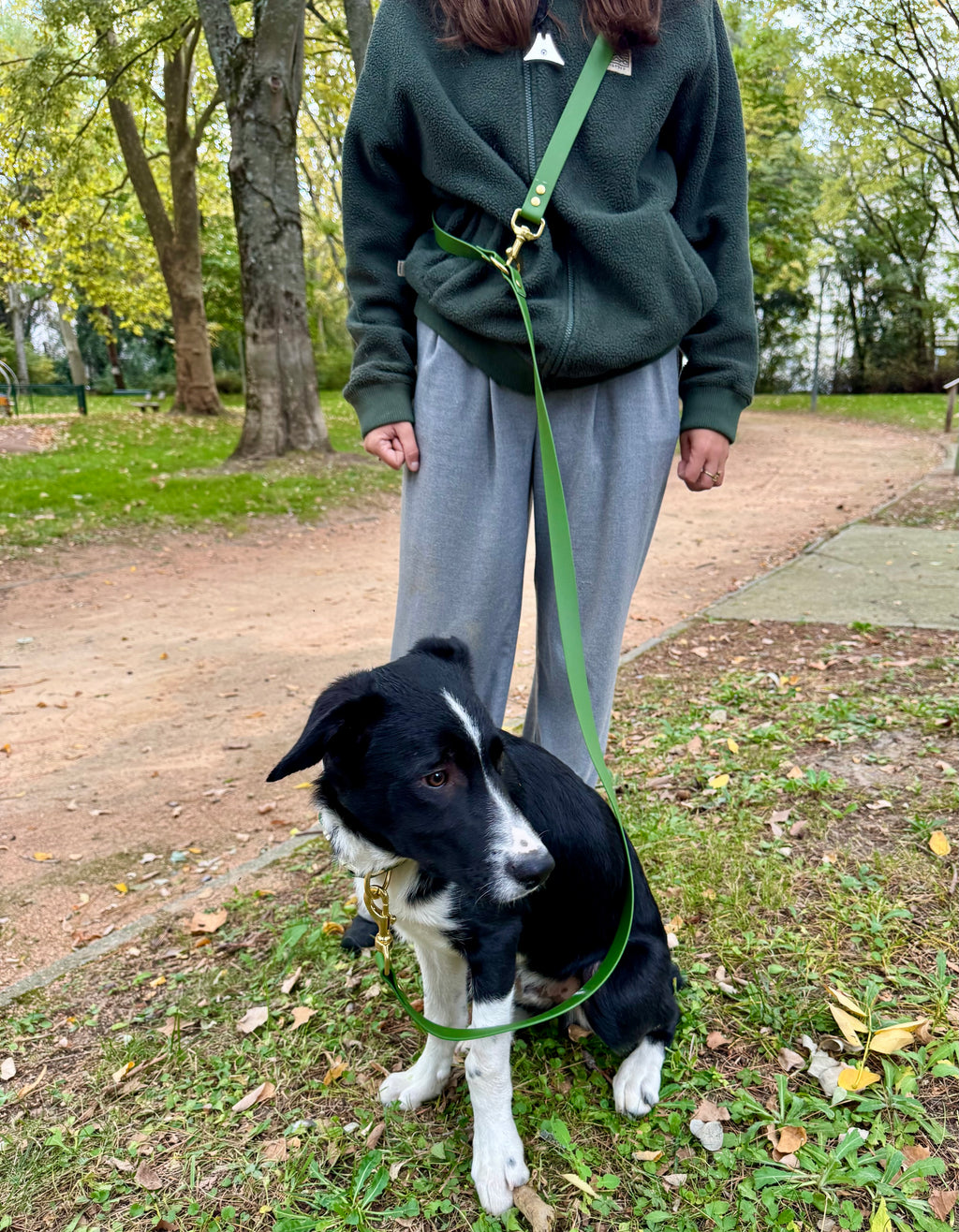 Laisse multi-positions Olive