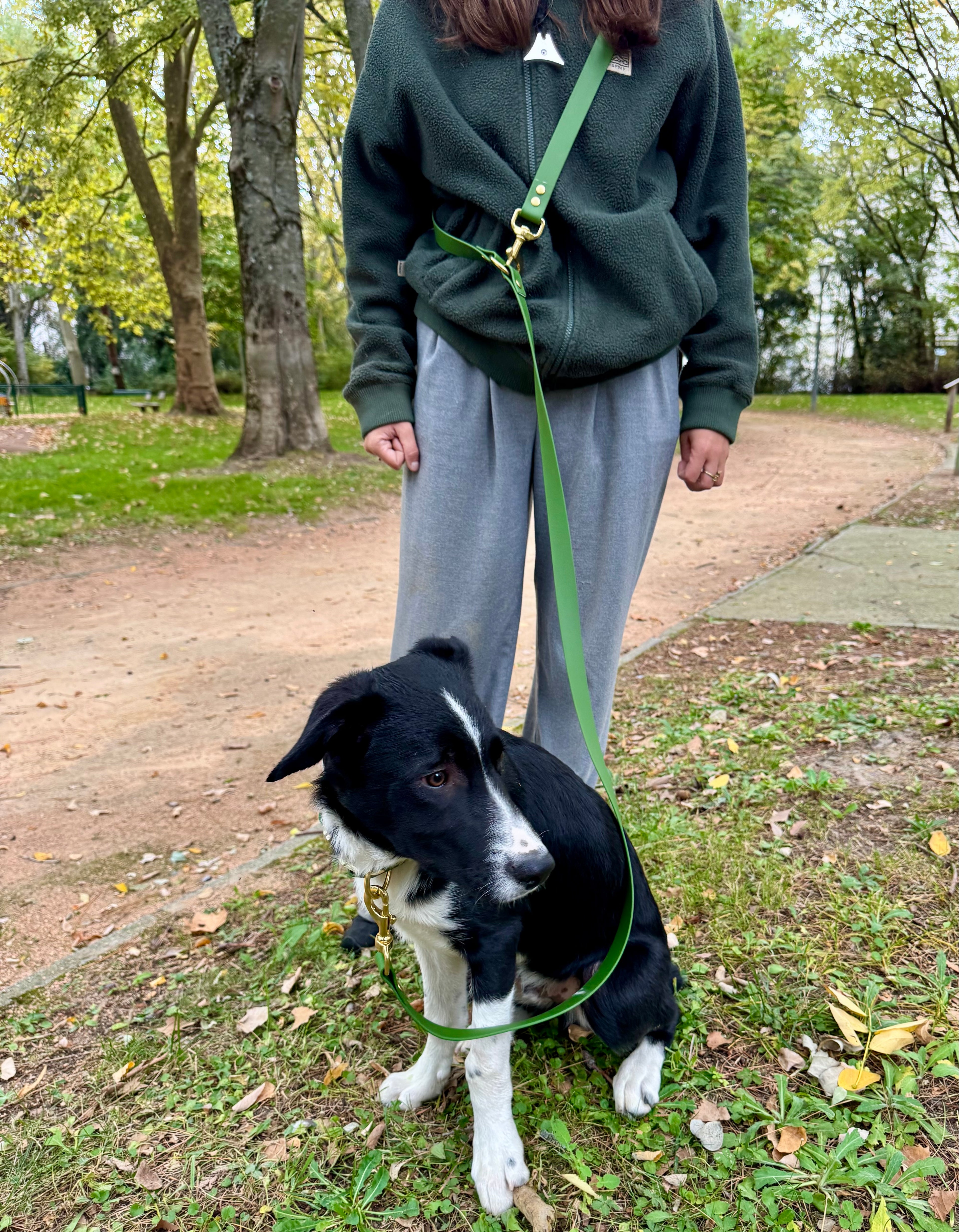 Laisse multi-positions Olive