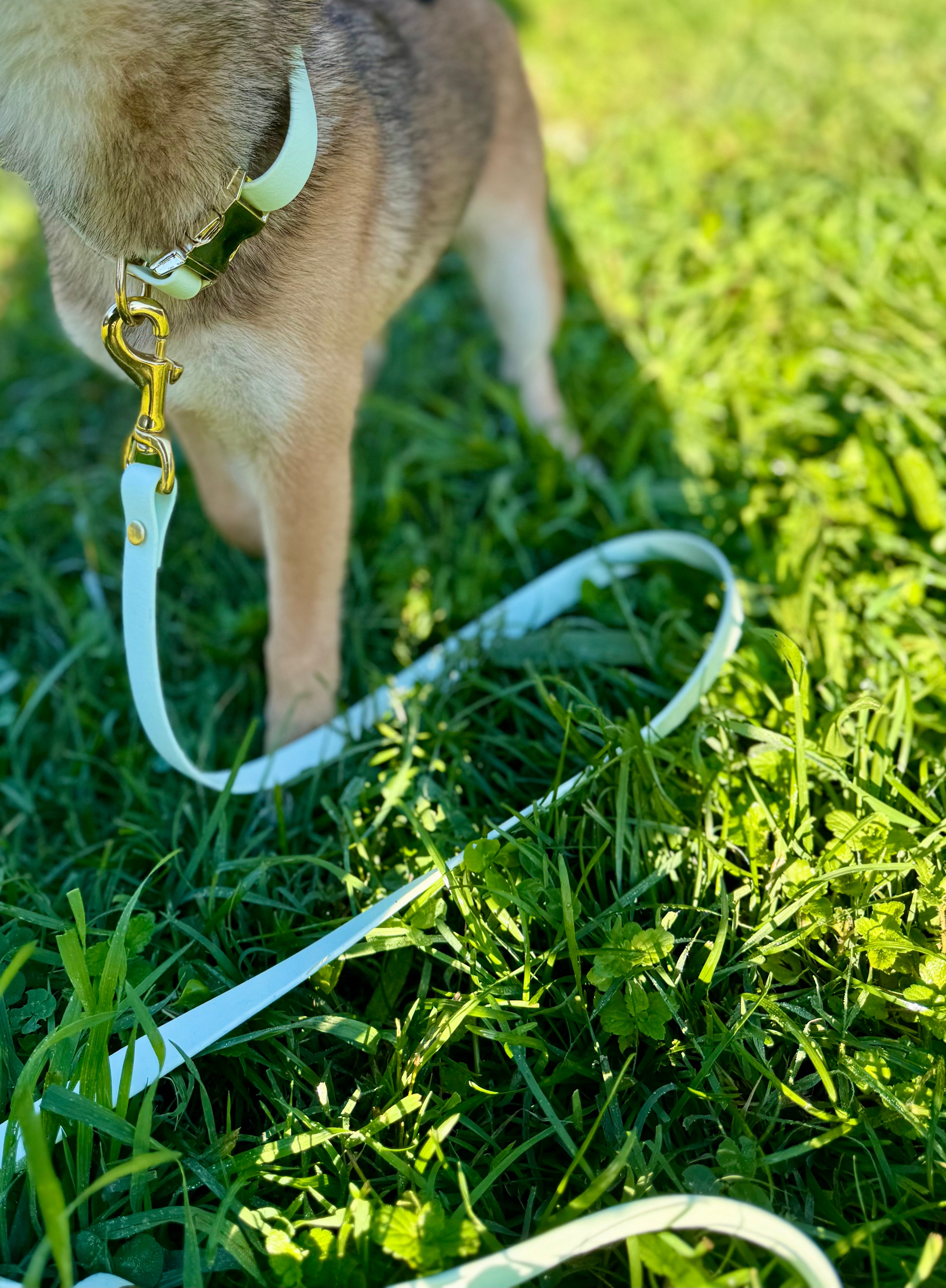 Laisse classique Verveine