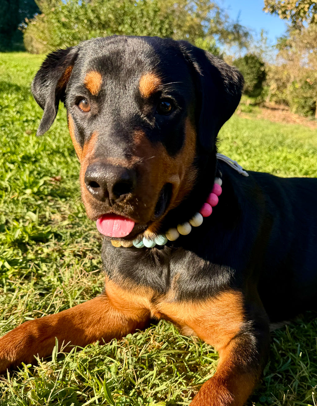 Porte-médaille Jacinthe