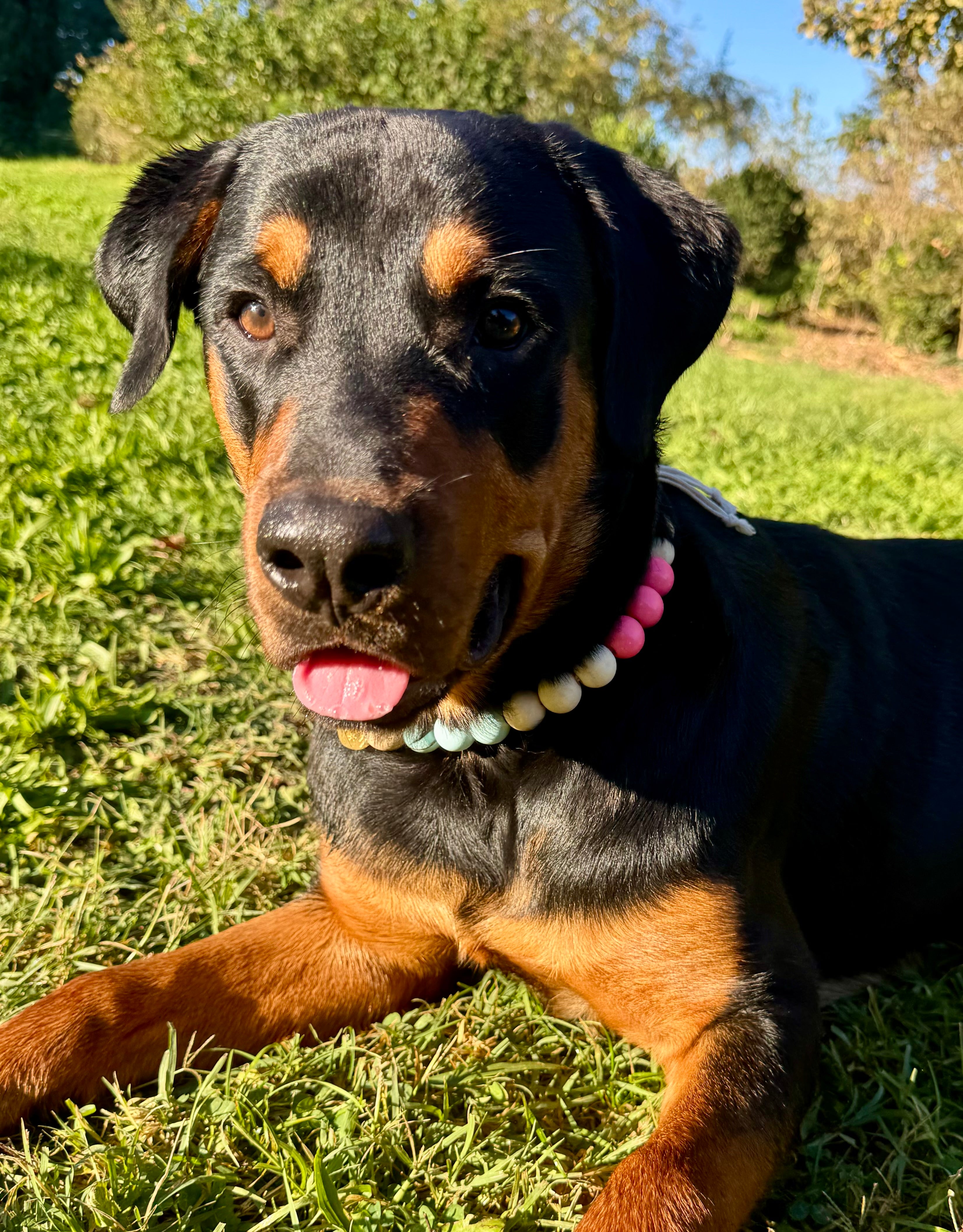 Porte-médaille Jacinthe