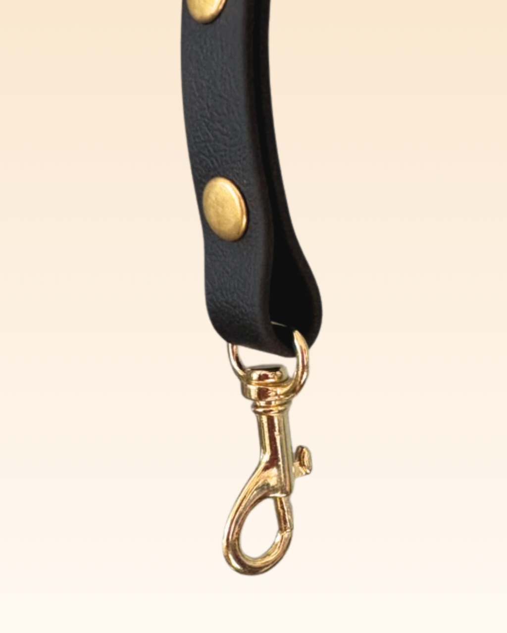 Laisse XS noire Vadrouille Toulouse 
