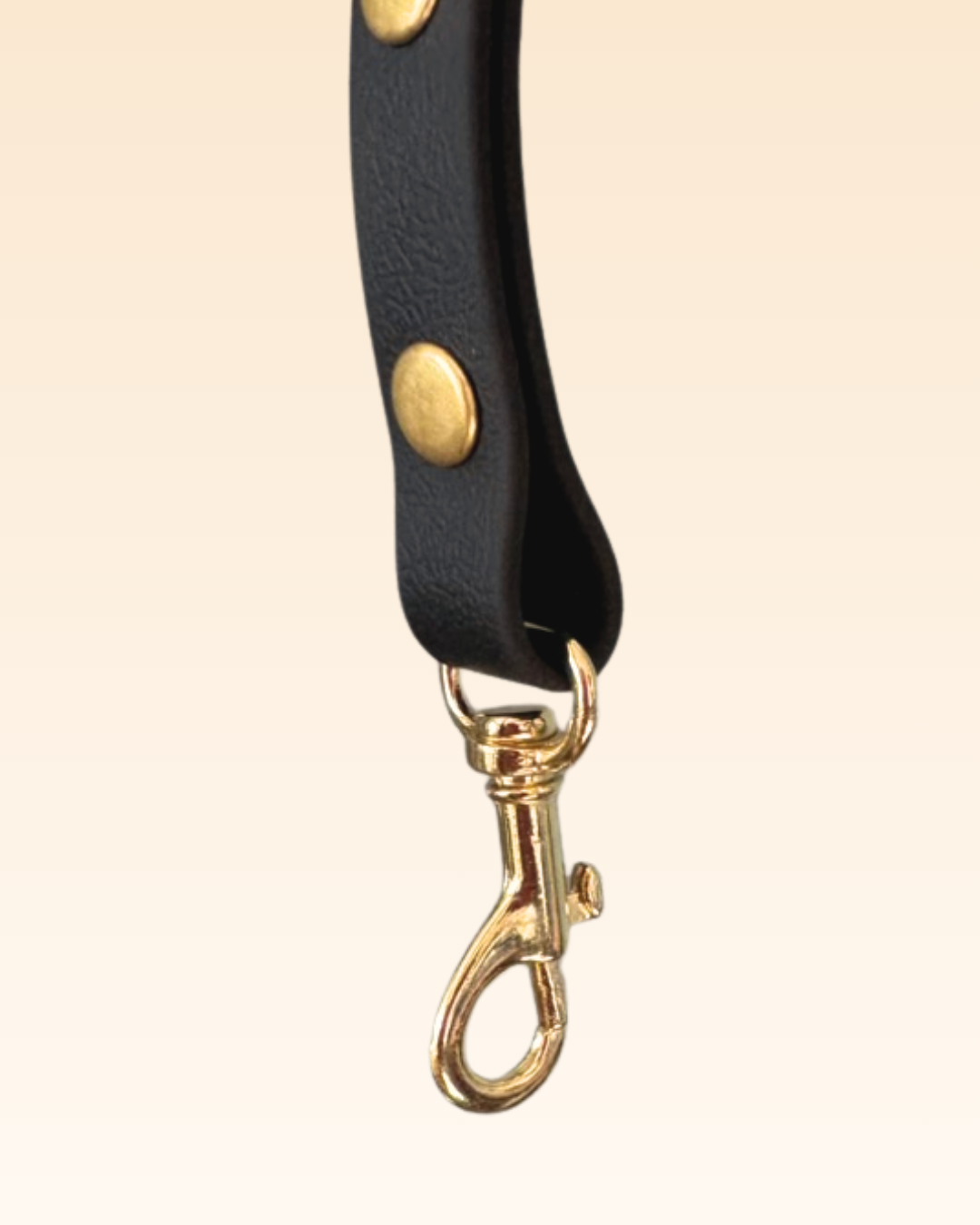 Laisse XS noire Vadrouille Toulouse 